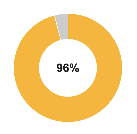 Pie chart showing 96%