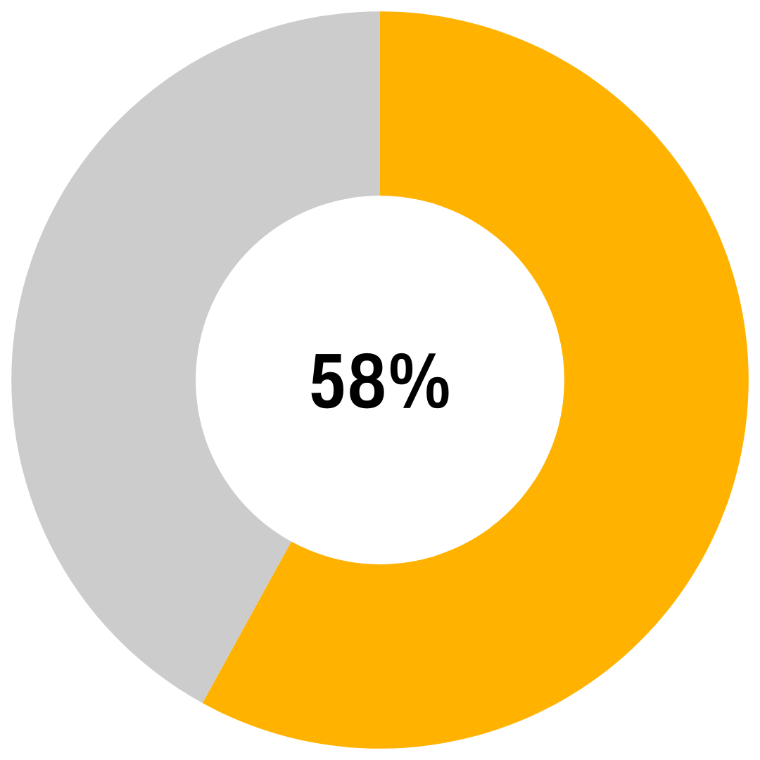 Gold and grey pie chart showing 58 percent