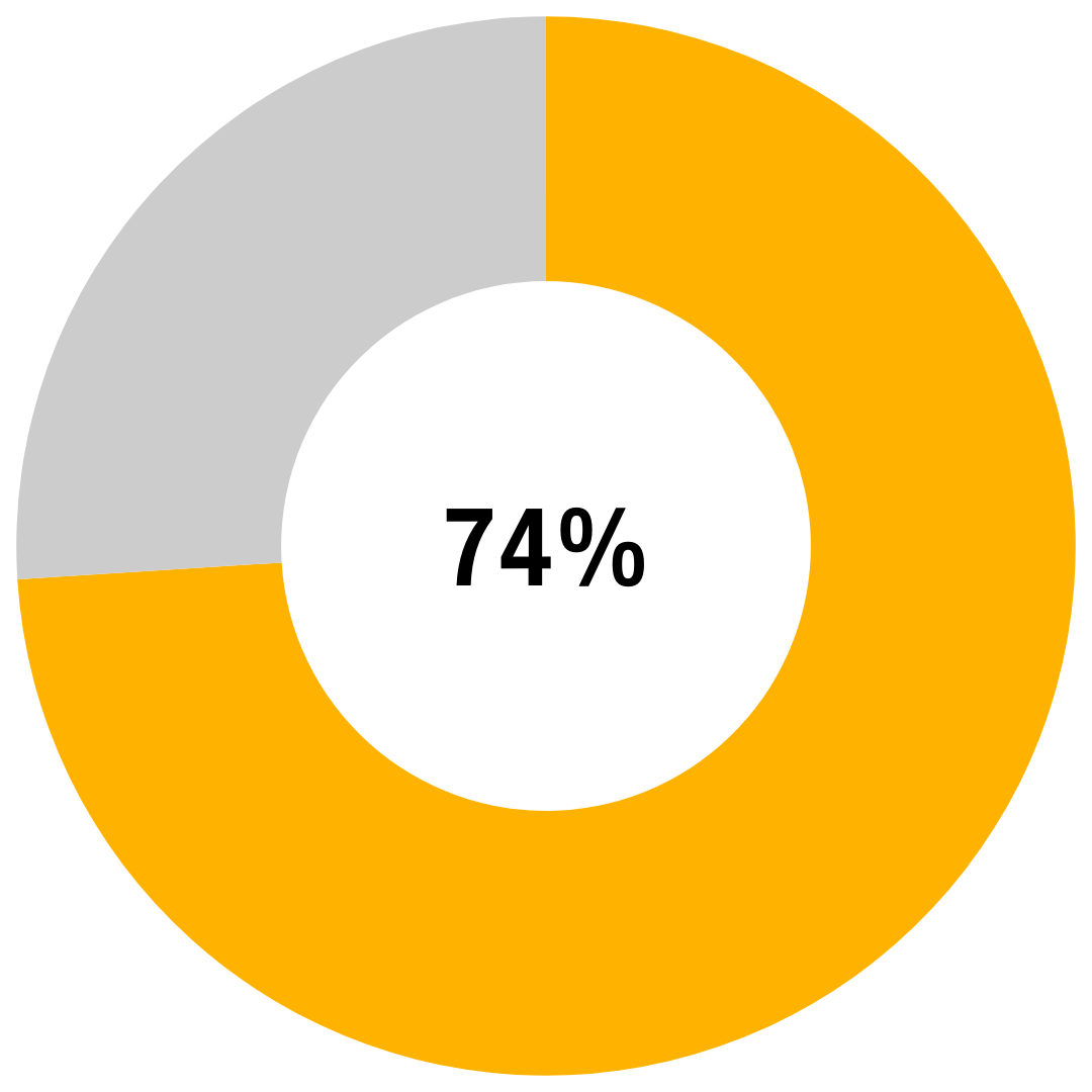 Gold and grey pie chart showing 74 percent