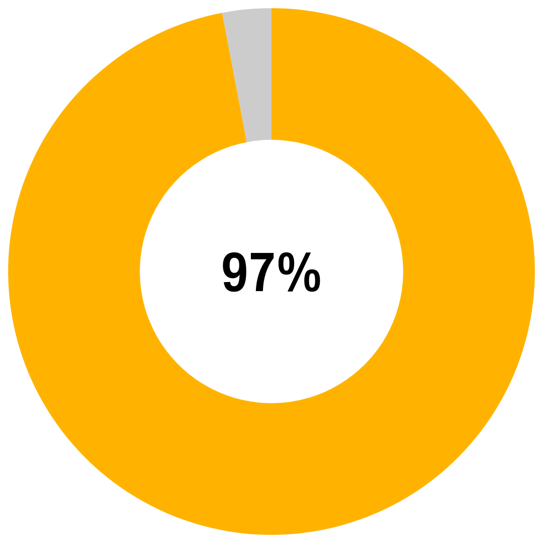 Gold and grey pie chart showing 97 percent