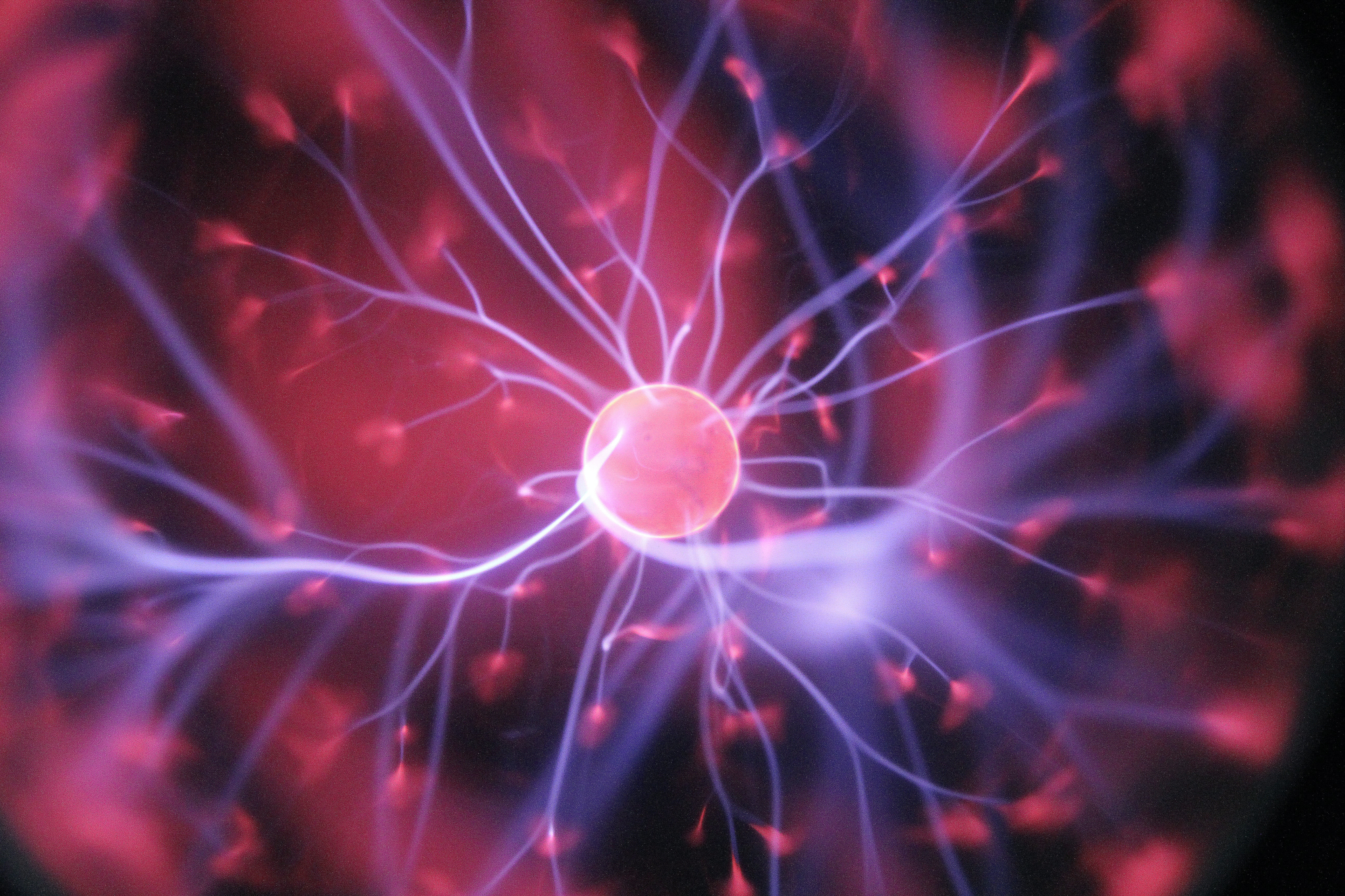 brain neurons image